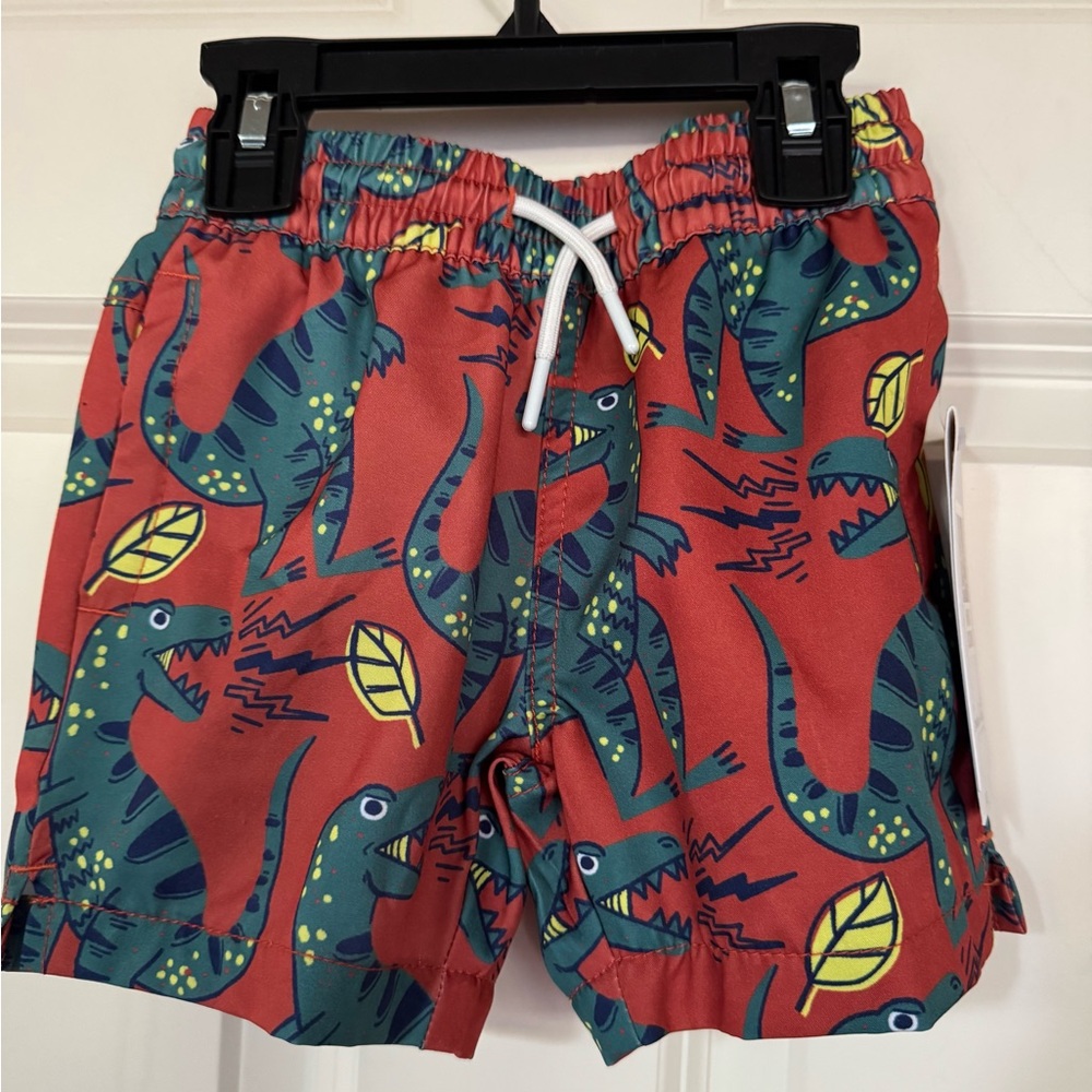 Sovereign Code Boys Dinosaur Swim Trunks